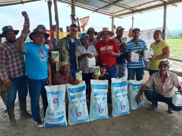 Municipio Bolívar: Inicia la siembra de 85 hectáreas de maíz a través del convenio Alianza Científico-Campesino Yaracuy 2025