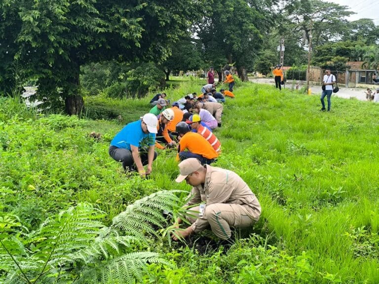 Con el Plan de reforestación «Madre Tierra», Urachiche Impulsa la Conciencia Ambiental