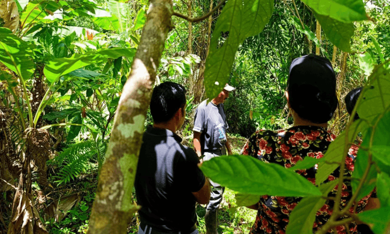 Fortalecida producción agrícola de Miranda con entrega de Kit Trabuco CLAP