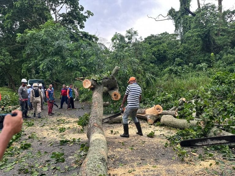 ACTIVAN PLAN ESPECIAL PARA ATENDER AFECTACIONES POR LLUVIA Y FUERTES VIENTOS DEJADAS EL JUEVES