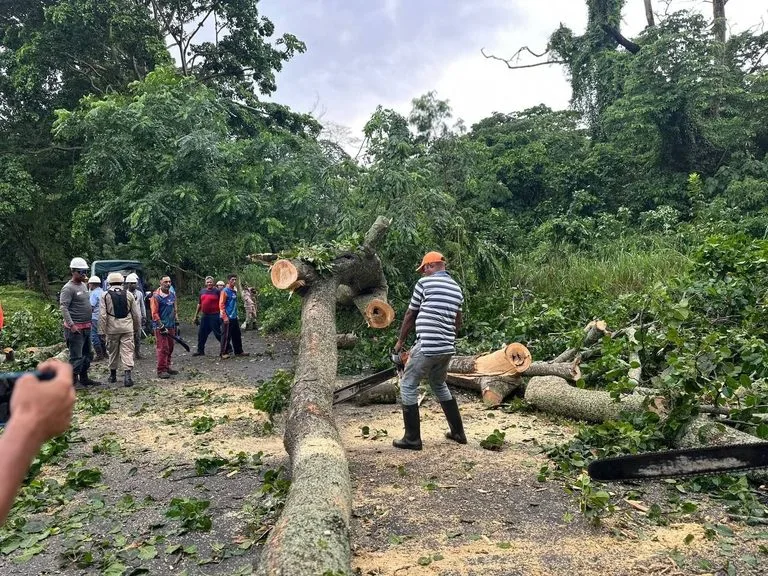 ACTIVAN PLAN ESPECIAL PARA ATENDER AFECTACIONES POR LLUVIA Y FUERTES VIENTOS DEJADAS EL JUEVES