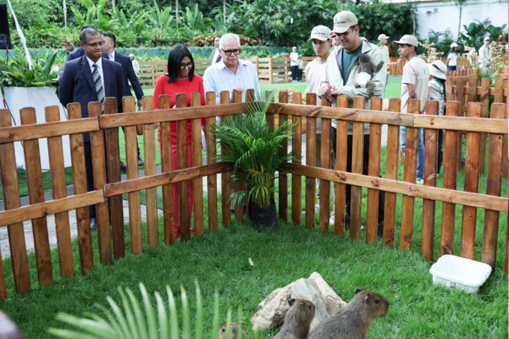 Jefa de Estado promulga Ley Aprobatoria para el Establecimiento de la Alianza Internacional de Grandes Felinos