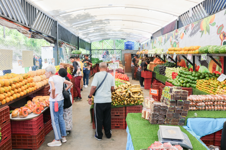Espacios productivos comunales facilitan acceso a alimentos con ahorros de hasta 60%